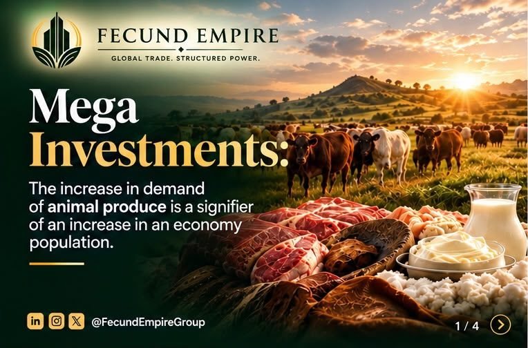 Africa's Livestock Economy Is Bigger Than the Farm: Inside the Livestock Value Chain